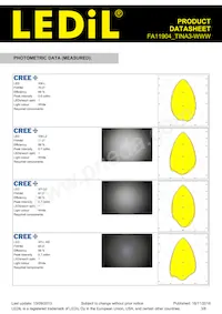 FA11904_TINA3-WWW Datasheet Pagina 3