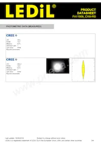 FA11909_CXM-RS Datasheet Pagina 3