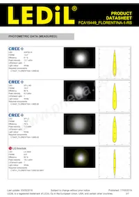 FCA15449_FLORENTINA-1-RS Datasheet Page 3