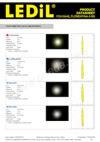 FCA15449_FLORENTINA-1-RS Datasheet Pagina 4