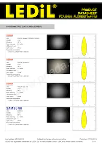 FCA15451_FLORENTINA-1-M Datasheet Pagina 7