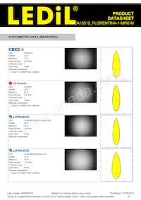 FCA15512_FLORENTINA-1-MRK-M Datasheet Pagina 3
