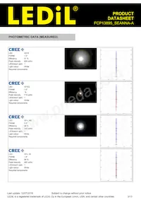 FCP13895_SEANNA-A Datasheet Pagina 3