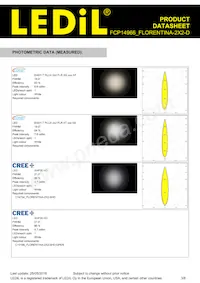 FCP14966_FLORENTINA-2X2-D Datasheet Page 3