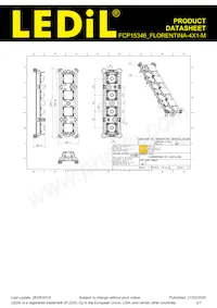 FCP15346_FLORENTINA-4X1-M Datasheet Page 2