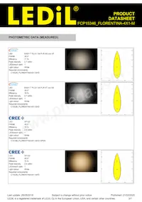 FCP15346_FLORENTINA-4X1-M Datasheet Pagina 3