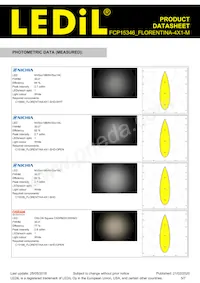 FCP15346_FLORENTINA-4X1-M Datasheet Page 5