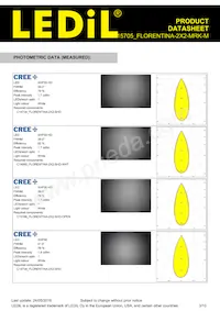 FCP15705_FLORENTINA-2X2-MRK-M Datasheet Pagina 3