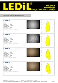 FCP15705_FLORENTINA-2X2-MRK-M Datasheet Pagina 4