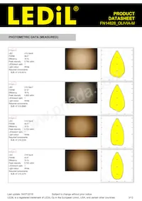 FN14828_OLIVIA-M Datasheet Pagina 3