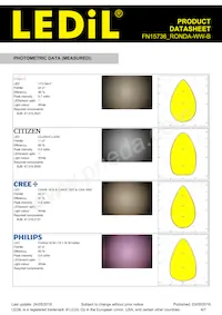 FN15736_RONDA-WW-B Datasheet Page 4