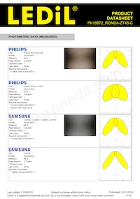 FN15972_RONDA-ZT45-C Datasheet Pagina 11