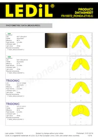 FN15972_RONDA-ZT45-C Datasheet Pagina 13