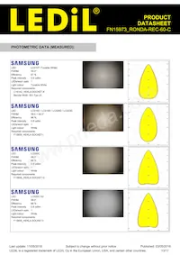 FN15973_RONDA-REC-60-C Datasheet Page 13