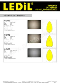 FN15973_RONDA-REC-60-C Datasheet Page 15