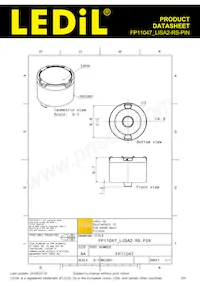 FP11047_LISA2-RS-PIN Datasheet Page 2