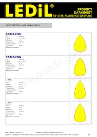 FS15786_FLORENCE-3R-IP-Z60 Datasheet Pagina 8