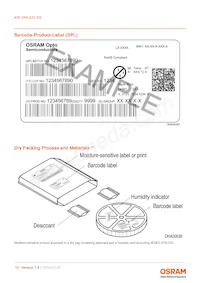 KW DMLS33.SG-Z6M7-EBVFFCBB46-8E8G-700-S Datasheet Page 18