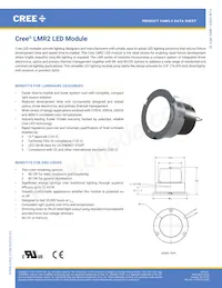 LMR020-HS02-0000-0000001 Datasheet Cover
