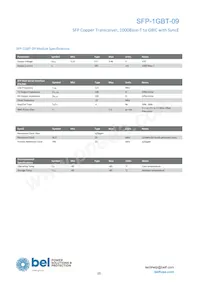 SFP-1GBT-09 Datasheet Page 2