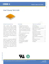 XHGAWT-02-0000-00000HXE1 Datasheet Cover
