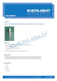 339-1SURSYGW/S530-A3/D87/F182-173(DU) Datenblatt Cover