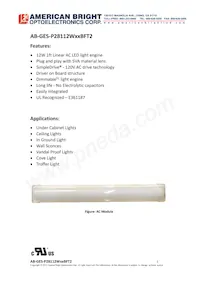 AB-GES-P28112W50BFT2 Datasheet Cover
