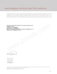 BXEB-L1120Z-57E4000-C-A3 Datasheet Page 21