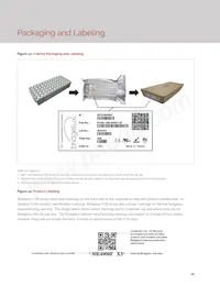 BXRE-35G2000-C-23 Datasheet Page 18