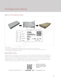 BXRE-35G3001-D-23 Datasheet Page 18