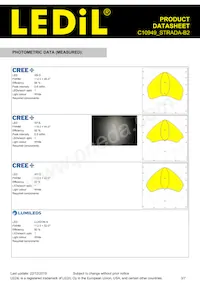 C10949_STRADA-B2 Datasheet Page 3