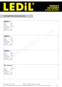 C10975_GT4-WW Datasheet Pagina 3