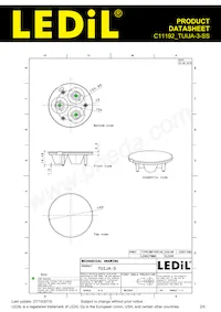 C11192_TUIJA-3-SS Datasheet Page 2