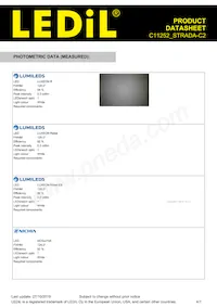 C11252_STRADA-C2 Datasheet Pagina 4