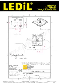 C13299_STRADA-2X2-ME Datasheet Page 2