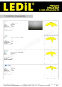 C13300_STRADA-2X2-T2 Datasheet Page 3