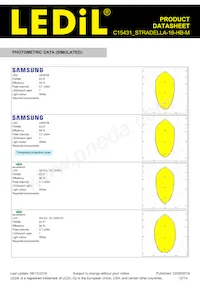 C15431_STRADELLA-16-HB-M Datasheet Page 12