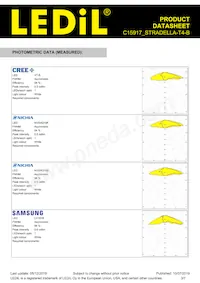 C15917_STRADELLA-T4-B Datasheet Pagina 3