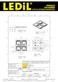 C16119_STRADA-2X2CSP-SCL Datenblatt Seite 2