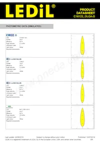 C16123_OLGA-S Datasheet Pagina 5