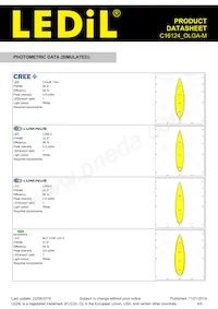 C16124_OLGA-M Datasheet Page 4