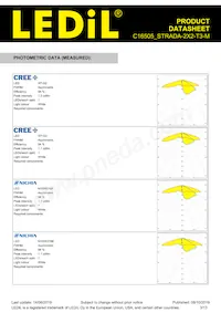 C16505_STRADA-2X2-T3-M Datasheet Page 3