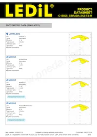 C16505_STRADA-2X2-T3-M Datasheet Pagina 9