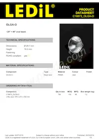 C16673_OLGA-O Datasheet Cover