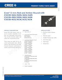 C503B-RAS-CY0B0AA2數據表 封面