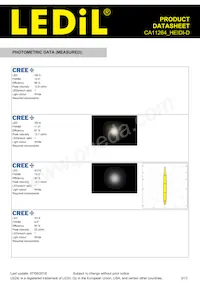 CA11264_HEIDI-D Datasheet Page 3