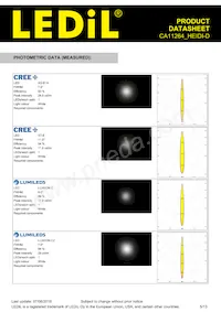 CA11264_HEIDI-D Datasheet Page 5