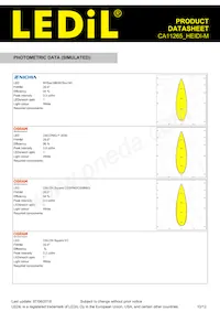 CA11265_HEIDI-M Datasheet Page 10