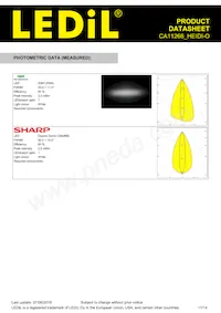 CA11266_HEIDI-O Datasheet Pagina 11