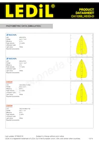CA11266_HEIDI-O Datasheet Page 13